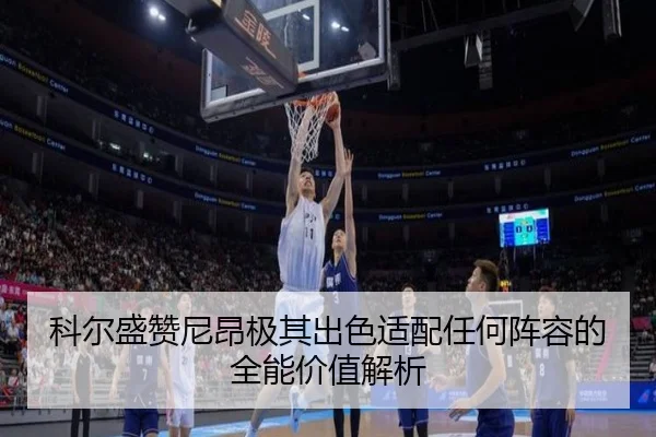 科尔盛赞尼昂极其出色适配任何阵容的全能价值解析
